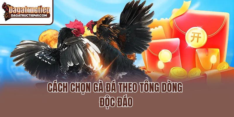 Cách chọn gà đá theo tông dòng độc đáo