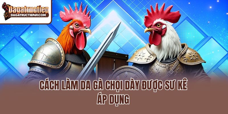 Cách làm da gà chọi dày được sư kê áp dụng