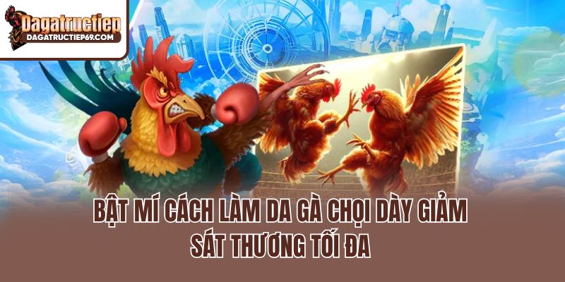 Bật Mí Cách Làm Da Gà Chọi Dày Giảm Sát Thương Tối Đa