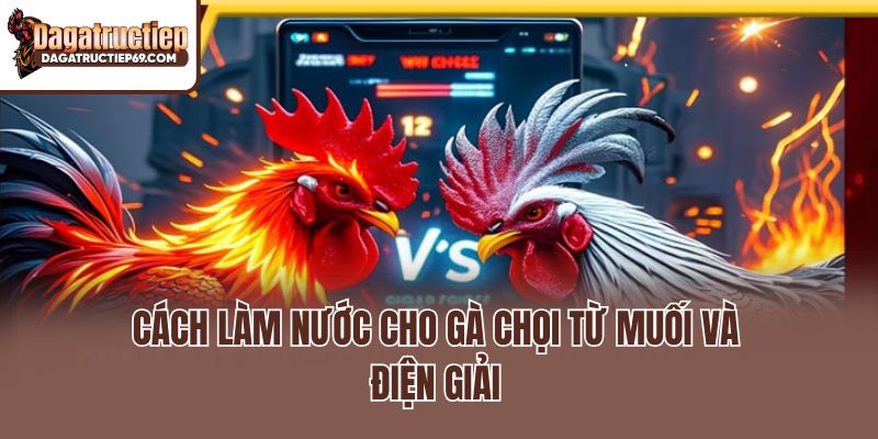 Cách làm nước cho gà chọi từ muối và điện giải