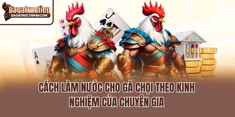 Cách Làm Nước Cho Gà Chọi Theo Kinh Nghiệm Của Chuyên Gia