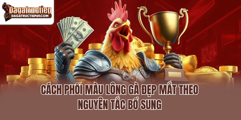 Cách phối màu lông gà đẹp mắt theo nguyên tắc bổ sung