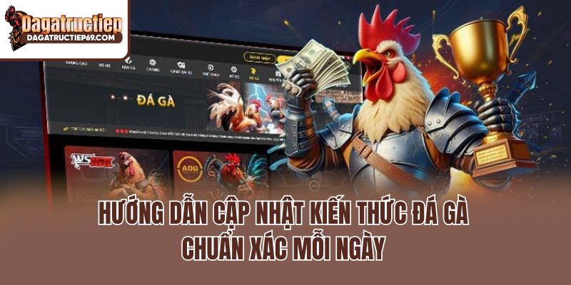 Hướng dẫn cập nhật kiến thức đá gà chuẩn xác mỗi ngày