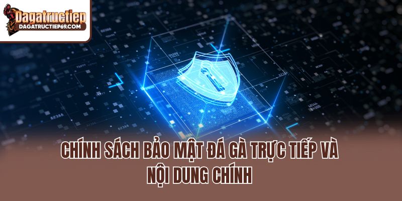 Chính sách bảo mật đá gà trực tiếp và nội dung chính