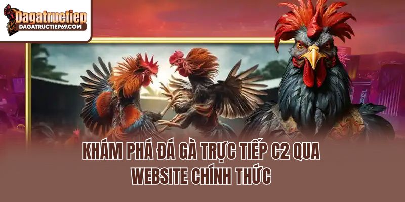 Khám phá đá gà trực tiếp C2 qua website chính thức