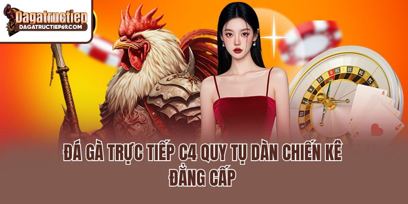 Đá gà trực tiếp C4 quy tụ dàn chiến kê đẳng cấp