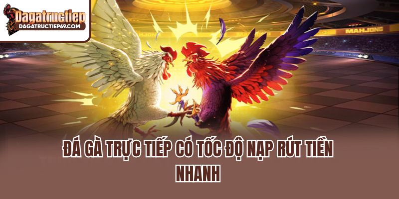 Đá gà trực tiếp có tốc độ nạp rút tiền nhanh