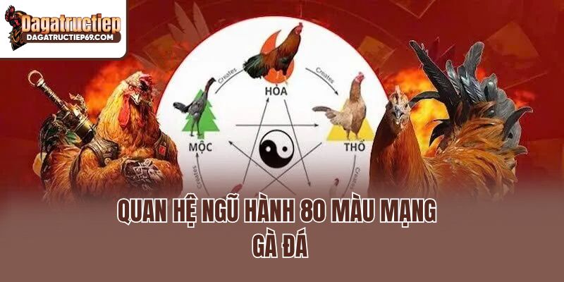 Quan hệ ngũ hành 80 màu mạng gà đá