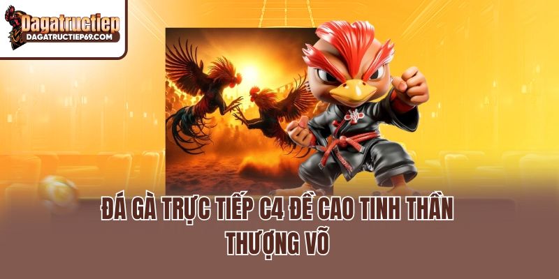 Đá gà trực tiếp C4 đề cao tinh thần thượng võ