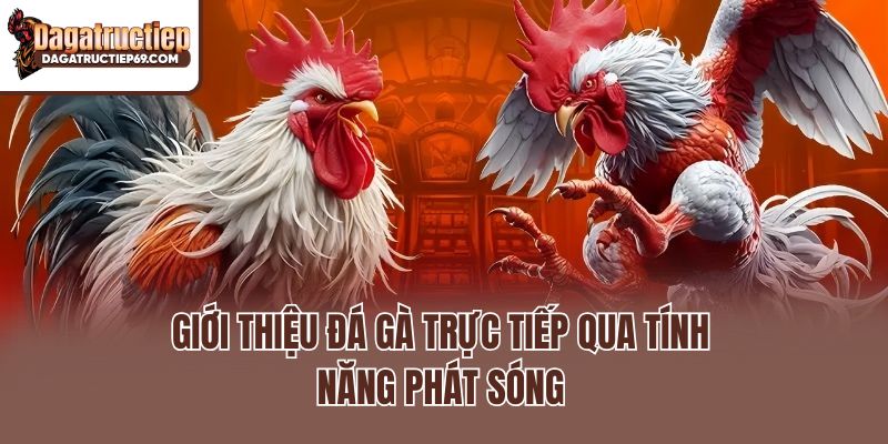Giới thiệu Đá Gà Trực Tiếp qua tính năng phát sóng