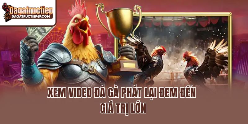 Xem video đá gà phát lại đem đến giá trị lớn
