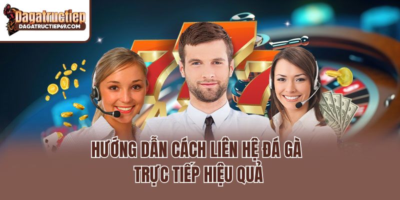 Hướng dẫn cách liên hệ đá gà trực tiếp hiệu quả