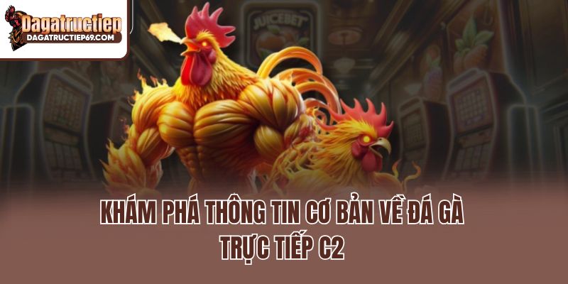 Khám phá thông tin cơ bản về đá gà trực tiếp C2