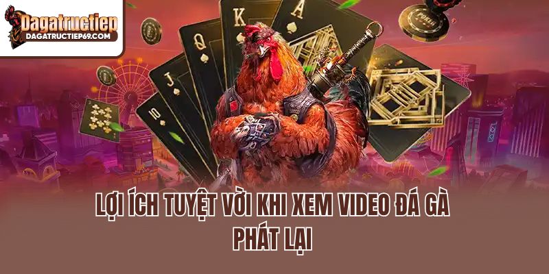 Lợi ích tuyệt vời khi xem video đá gà phát lại