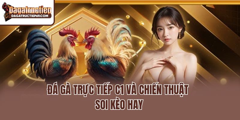 Đá gà trực tiếp C1 và chiến thuật soi kèo hay