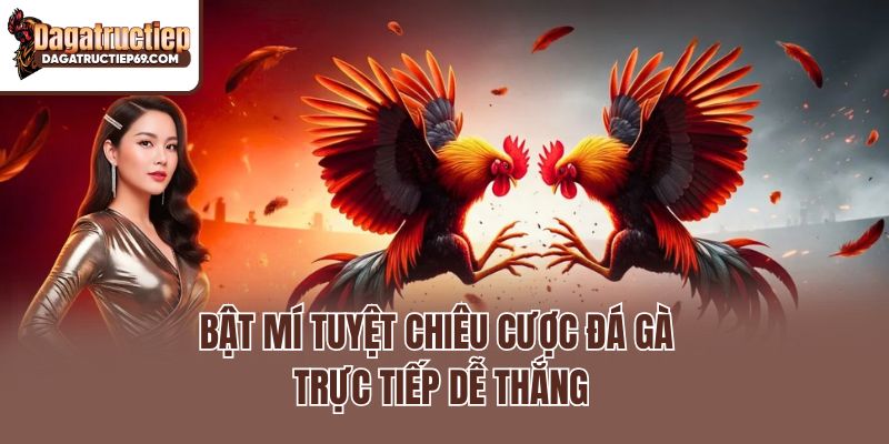 Bật mí tuyệt chiêu cược đá gà trực tiếp dễ thắng