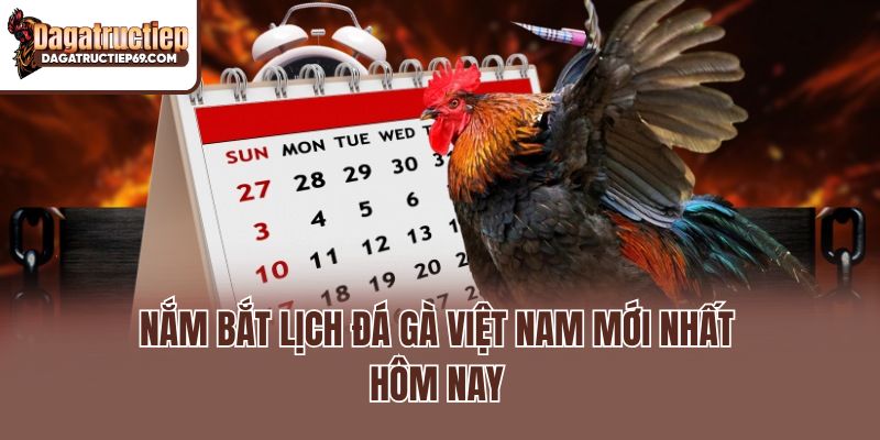 Nắm bắt lịch đá gà Việt Nam mới nhất hôm nay