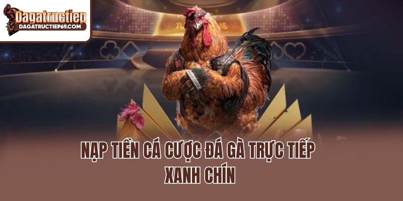 Nạp tiền cá cược đá gà trực tiếp xanh chín