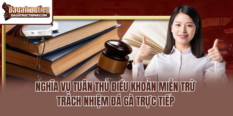 Nghĩa vụ tuân thủ điều khoản miễn trừ trách nhiệm Đá gà trực tiếp