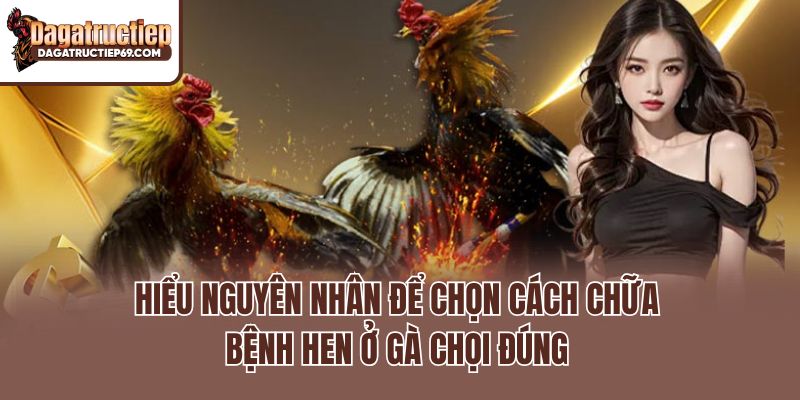 Hiểu nguyên nhân để chọn cách chữa bệnh hen ở gà chọi đúng