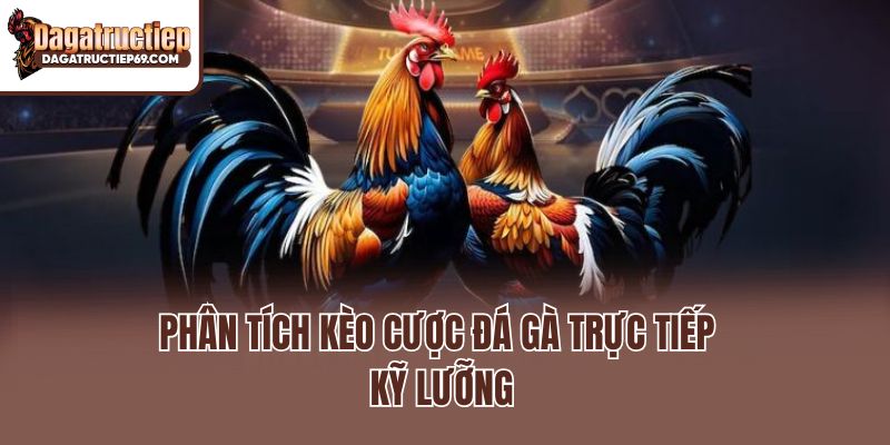 Phân tích kèo cược đá gà trực tiếp kỹ lưỡng