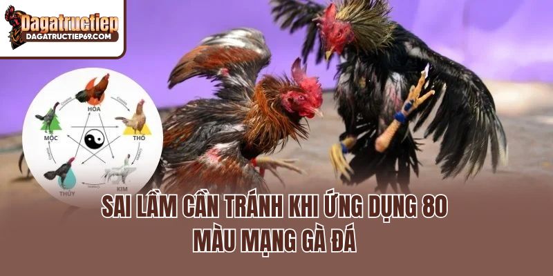 Sai lầm cần tránh khi ứng dụng 80 màu mạng gà đá