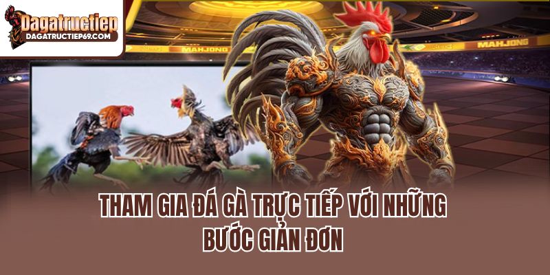 Tham gia đá gà trực tiếp với những bước giản đơn