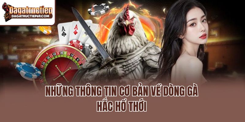 Những thông tin cơ bản về dòng gà Hắc Hổ Thới
