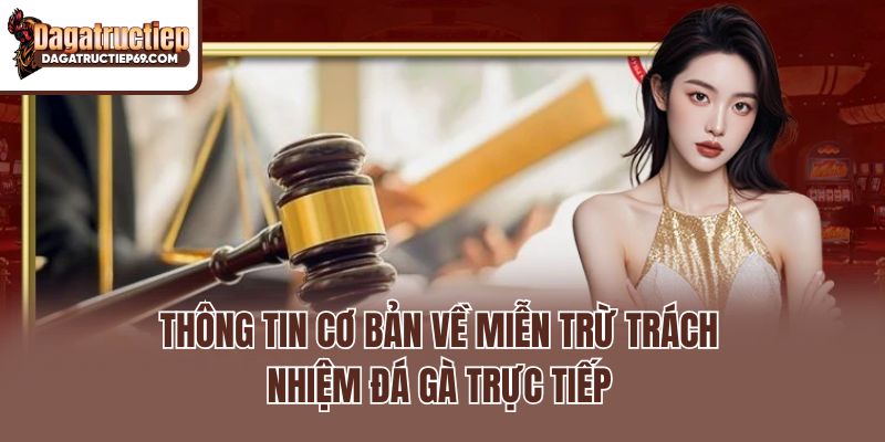 Thông tin cơ bản về miễn trừ trách nhiệm Đá gà trực tiếp