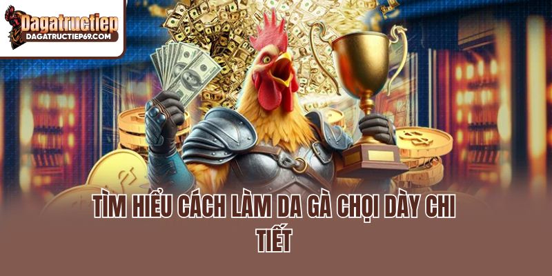 Tìm hiểu cách làm da gà chọi dày chi tiết