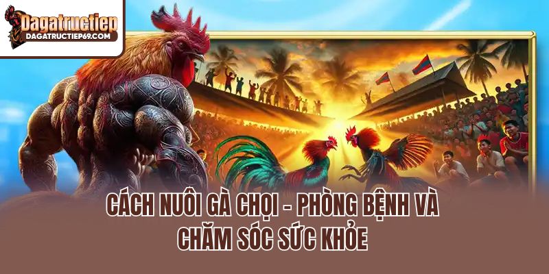 Cách nuôi gà chọi - Phòng bệnh và chăm sóc sức khỏe