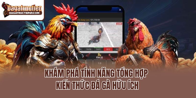 Khám phá tính năng tổng hợp kiến thức đá gà hữu ích