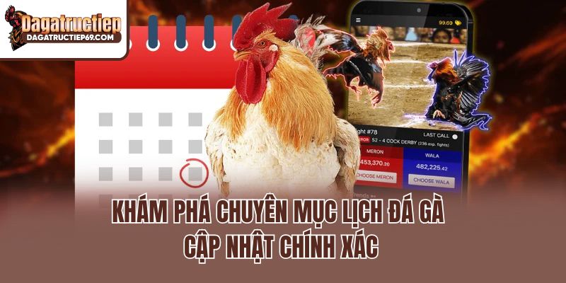 Khám phá chuyên mục lịch đá gà cập nhật chính xác