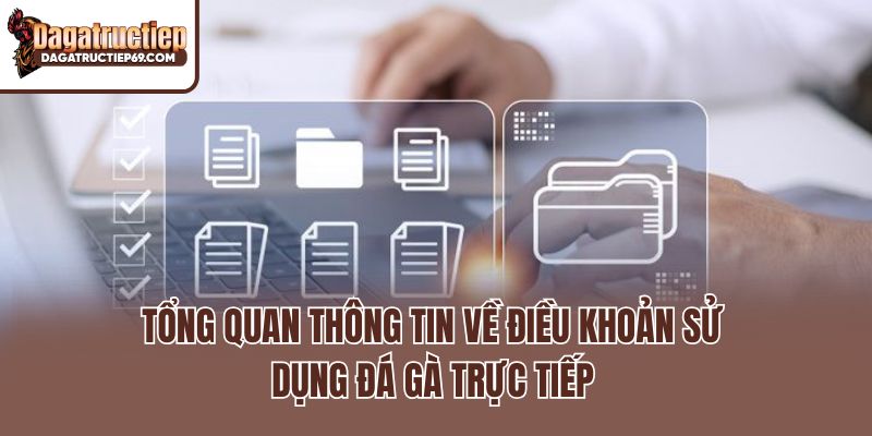 Tổng quan thông tin về điều khoản sử dụng Đá gà trực tiếp