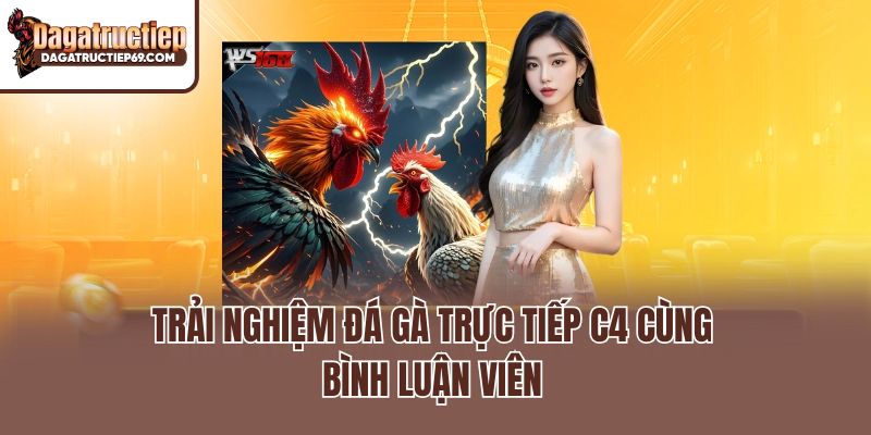 Trải nghiệm đá gà trực tiếp C4 cùng bình luận viên