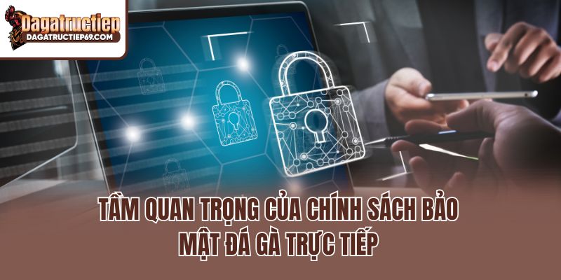 Tầm quan trọng của chính sách bảo mật đá gà trực tiếp