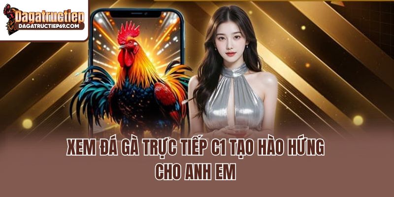Xem đá gà trực tiếp C1 tạo hào hứng cho anh em