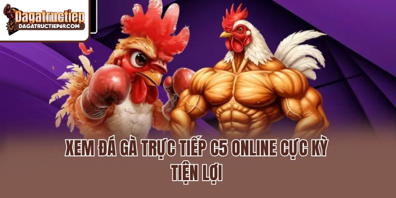 Xem đá gà trực tiếp C5 online cực kỳ tiện lợi